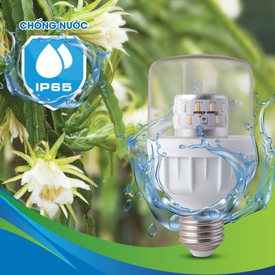 Đèn LED chuyên dụng cho thanh long 9W