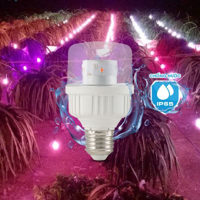 Đèn LED chuyên dụng cho thanh long 5W